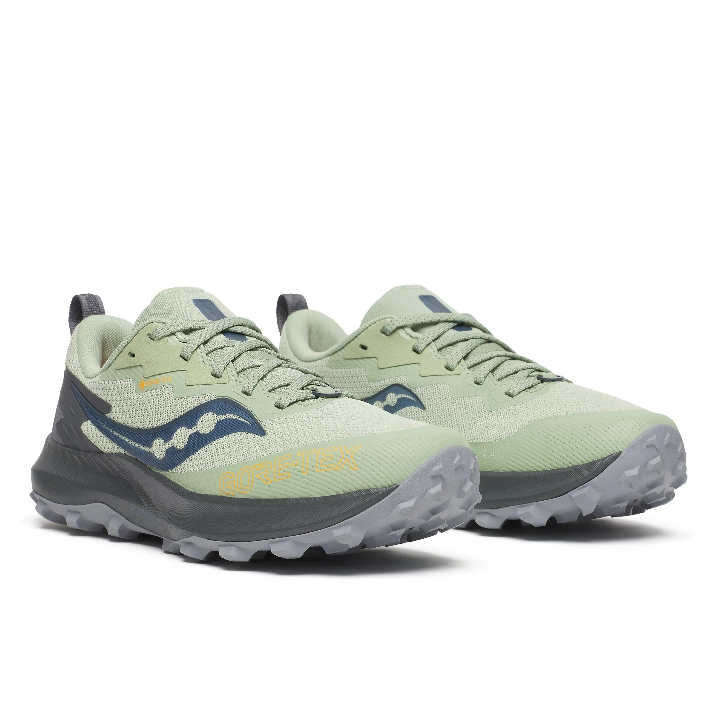 Peregrine 14 GTX - Women's