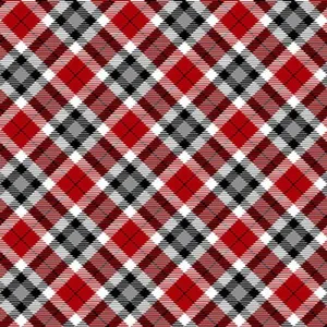 Snow Crew - 1294-89 - Small Even Plaid